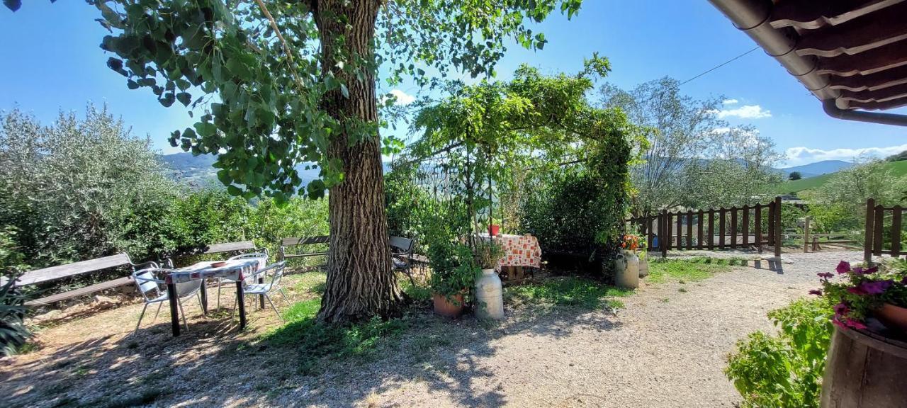 La Dei Cavalieri
